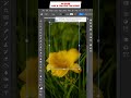 Glass Morphism Effect in Adobe Photoshop | Transparent Blur Glass Effect Photoshop Tutorial