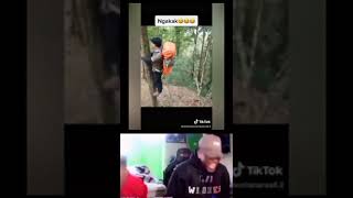 memekocak, momen dikejar babi hutan #babi #anakgunung #shorts #fyp #meme #lucu
