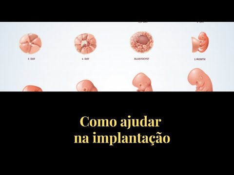 Como ajudar na implantação do embrião - YouTube