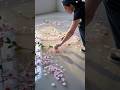 Cherry Blossom Resin Floor 🌸 Blooming Petals Under Gl#shorts #vairal #vairalvideo