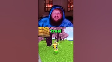 CaseOh’s Bee Suddenly Vanishes In Minecraft And He Has A Wild Theory! 😭💀