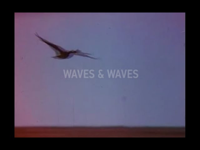 Havantepe - Waves & Waves