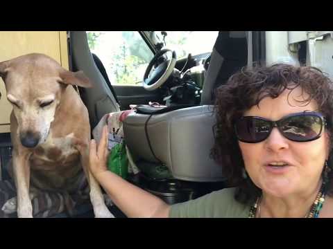 20170724 VLOG: Nonni Injured & Travel Update 20170724 VLOG: Nonni Injured & Travel Update
