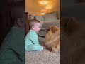 When Your Dog Becomes Your Baby’s First Best Friend 😭