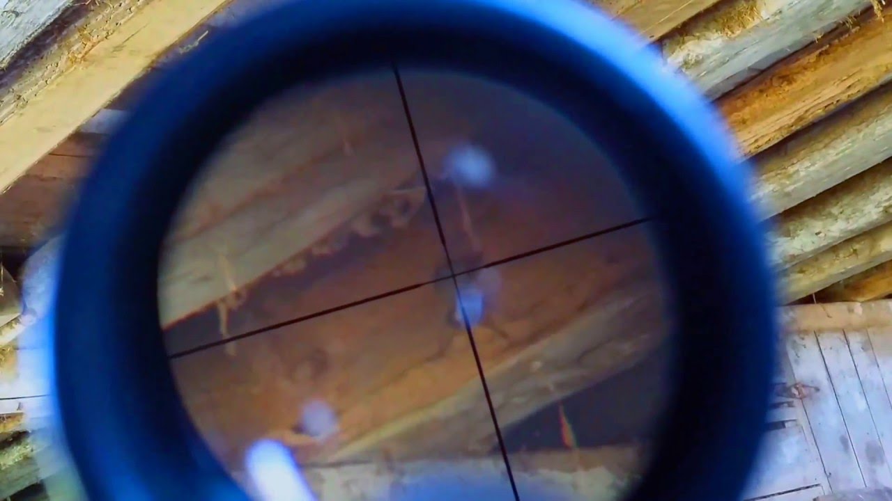 Shooting mice with .177 cal pellet rifle winter hunt YouTube