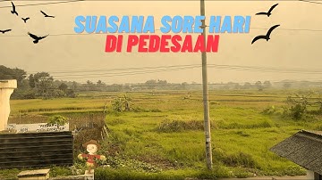 Suasana Sore Hari Di Pedesaan Yang Asri