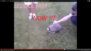 Man attempts to seduce a snapping turtle ! In PUBLIC. Hilarious prank in some random persons yard.