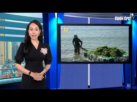 Video Góc nhìn trưa nay | Cô học trò miền Tây với dự án dự... - youtube