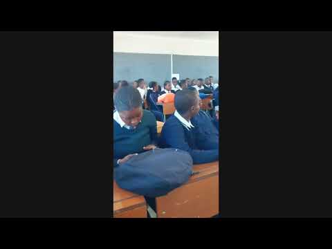 Silwa nokuthuthukisa intsha yakithi