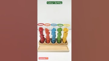 Colour Sorting | Science Lab | Toys | Educational Activities for Toddlers