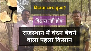 चंदन बेचने पर राजस्थान के किसान को कितना लाभ हुआ?सुनकर चौंक जाओगे।Mob.7500702888 sandalwood farming