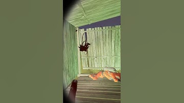 Jumpscared by a GLITCH! Into the Radius Funny Clip