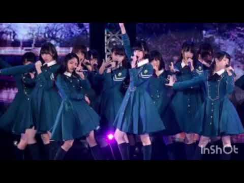 サイレントマジョリティー 欅坂46 歌ってみました