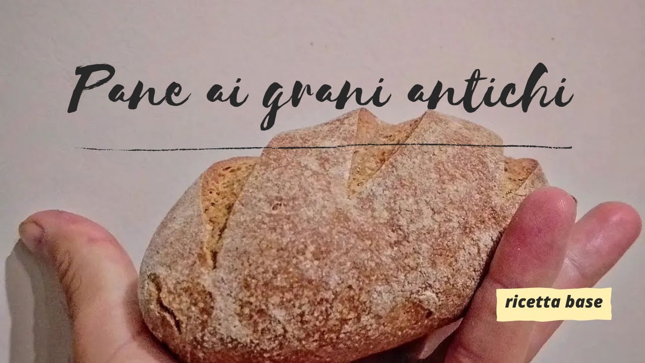 Pane ai grani antichi e lievito di birra: Ricetta Base
