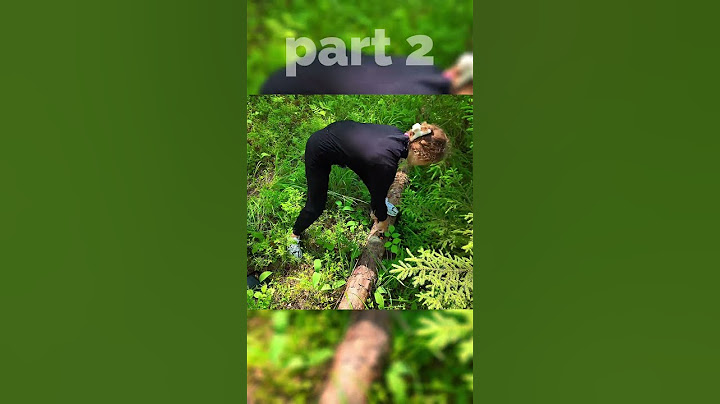 আমি আমার নিজের আসবাবপত্র তৈরি করতে একা একটি গাছ কেটে ফেলেছি 🌲🪚 সদস্যতা ❤️ #campingalone #bushcraft