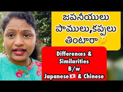 జపనీయులు 🇯🇵& చైనీయులు 🇨🇳మధ్య తేడాలు ||differences&similarities b/w Japanese&chinese| japan vlogs