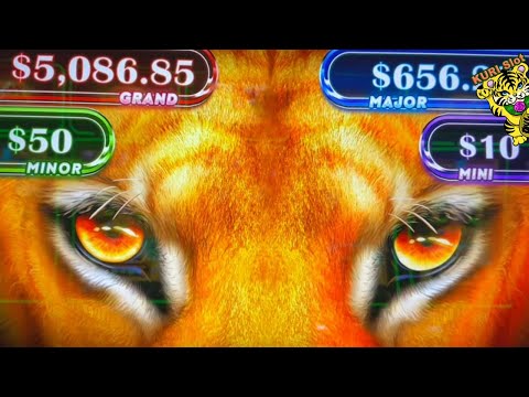 ★SPIN TO WIN ! WILL FORTUNE FAVOR ME ?★50 FRIDAY 340☆TURTLE TREASURE / LION EYES / DRAGON DRUM Slot