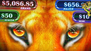 ★SPIN TO WIN ! WILL FORTUNE FAVOR ME ?★50 FRIDAY 340☆TURTLE TREASURE / LION EYES / DRAGON DRUM Slot