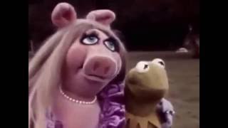 1979 Muppet Movie Camera Test Video