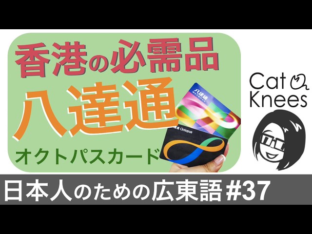 香港の必需品オクトパスカード{日本人のための広東語#37} - YouTube