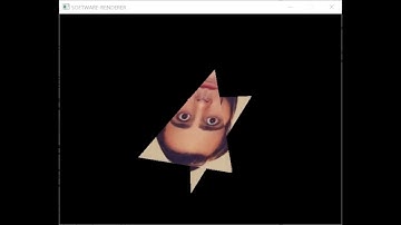 Software Renderer