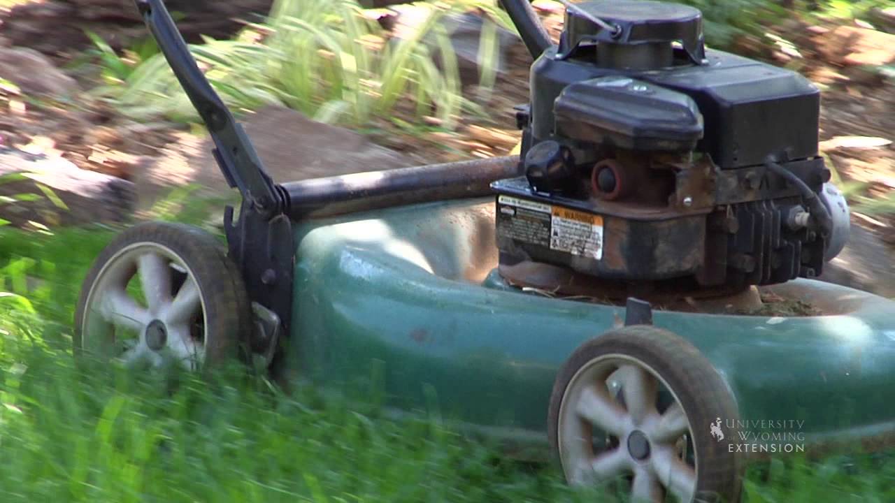 Lawn Care Decatur YouTube
