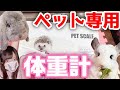 チンチラ うさぎ 体重測定にピッタリサイズ！な体重計見つけました。 　デグー 小動物 飼い方 おすすめペットスケール