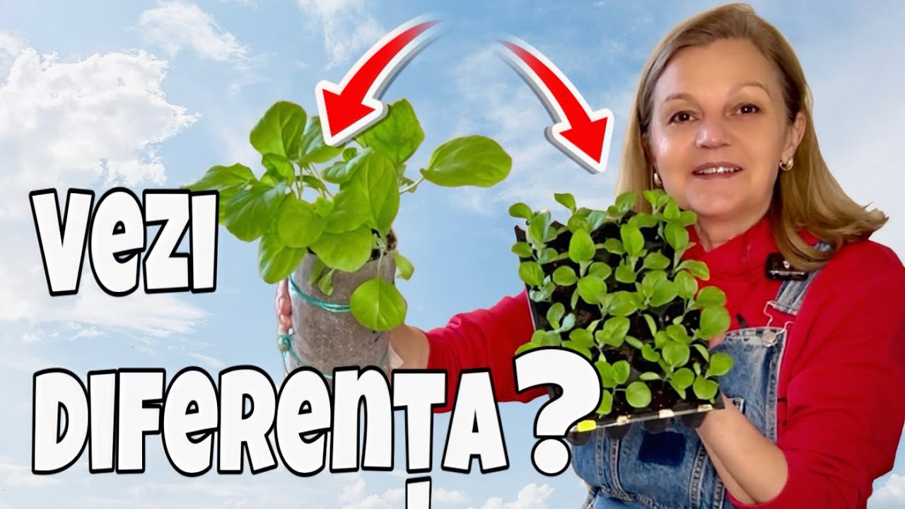 Новый метод посева вас удивит!🌱 Сравниваем и пересаживаем перцы и баклажаны