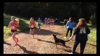 CIAC 2025 Class XC Championships - Girls LL