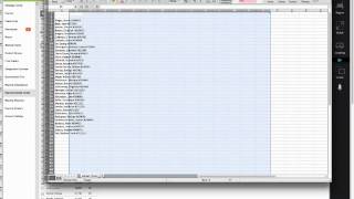 How to export roster from Infinite Campus and organize the data using Excel