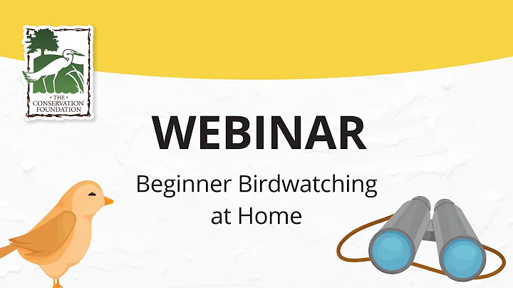 Beginning Birdwatching at Home | Webinar - DayDayNews