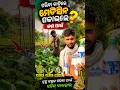 ପରିବା ବାଡ଼ିରେ କଣ ପାଇଁ 😱 ମେଡିସିନ ପକାଇଲେ🙆‍♂️         #shorts  #viral #minivlog #youtubevloggers