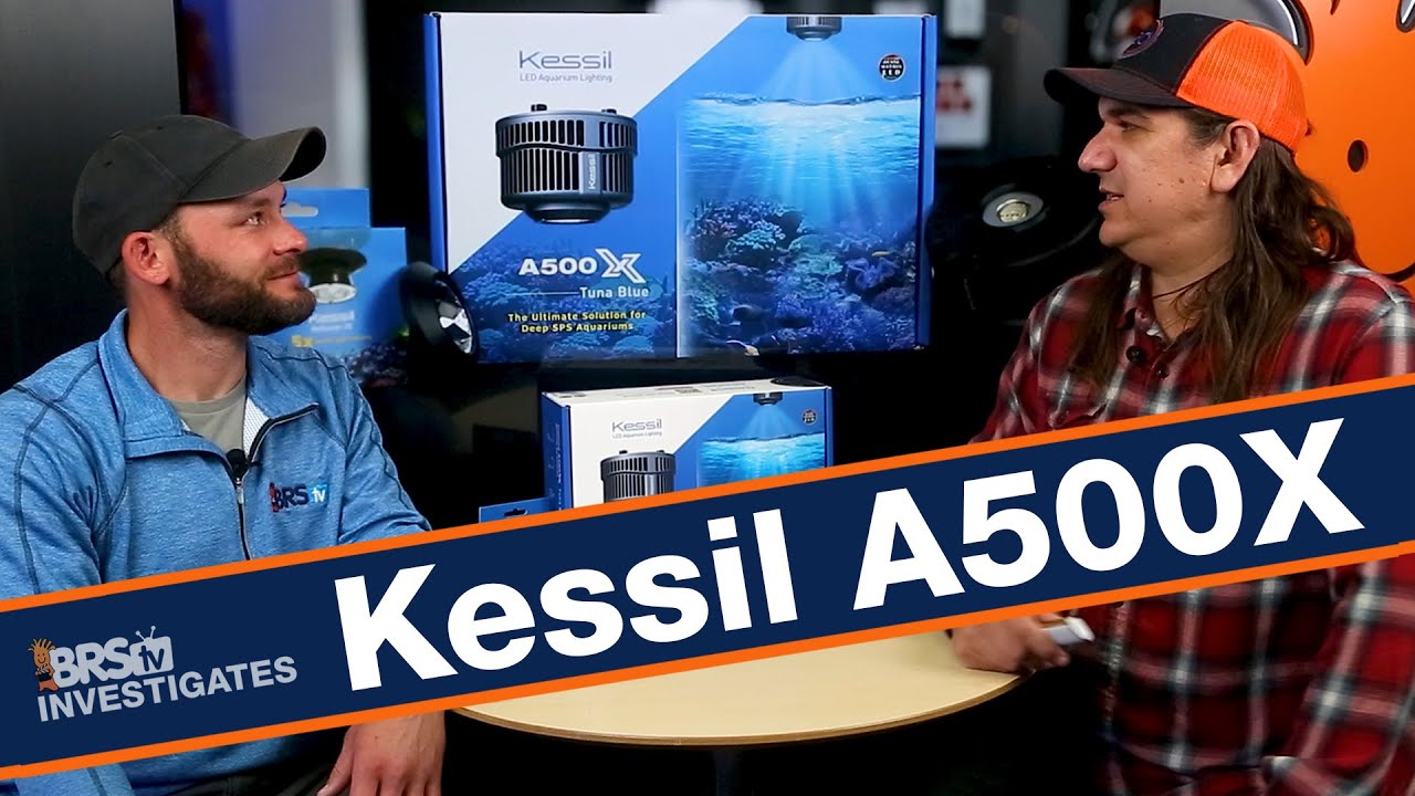 Kessil's A500X TESTED! New Look, First Impressions and a Whole Lot
