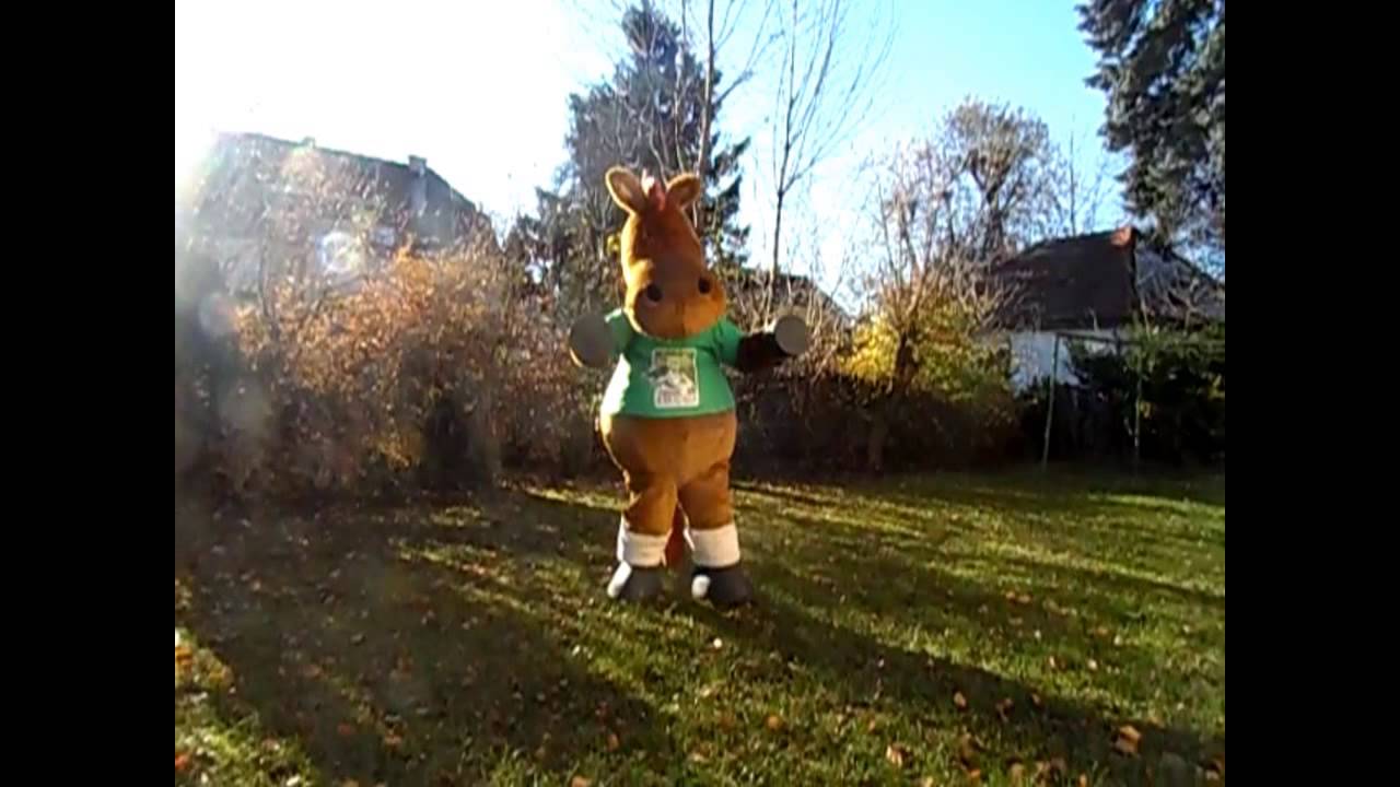 Fixkraft Elité Pferdefutter - Norman zu Besuch in Salzburg