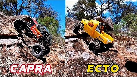 Capra V Ecto Louise Rowdys!!! Round 4 Challenge Rock @rcuintheshed6981