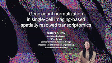 Gene count normalization in single-cell imaging-based spatially resolved transcriptomics