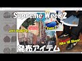 【Supreme】Week2 ラインナップ！ナイキSB・Pope.L 他、アイテム解説  '22F/W シュプリーム Jeff Hamilton