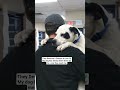 #electronicmusic #housemusic #help ##viral #usa #funny #animals #uk #support #love #germany #dog #li