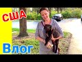 США Влог Реакция детей на нового питомца Закупка для щенка лабродора Большая семья в США /USA Vlog/