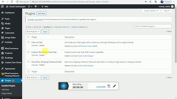WordPress Custom User Role Plugin