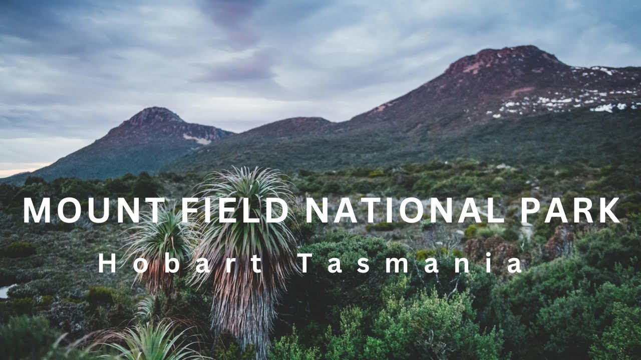 Mount Field National Park।। Russell Fall ।। Tasmania।। Australia