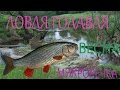 ЛОВЛЯ ГОЛАВЛЯ ВЕСНОЙ на МИКРО-РЕЧКЕ. Калининград. Воблер Yo-zuri L-Minnow