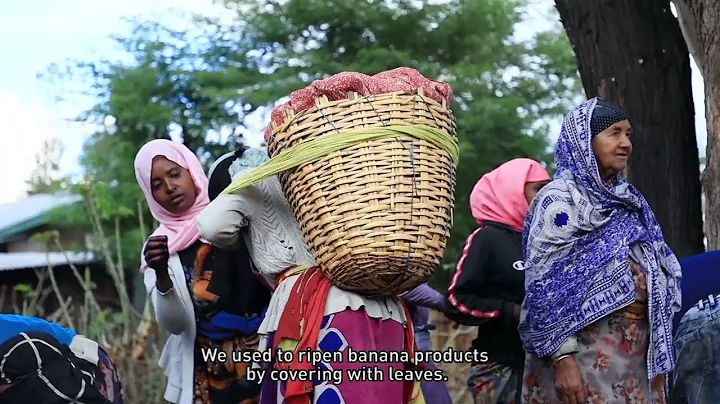 Increasing Smallholder Farmers’ Productivity