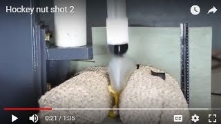 Hockey nut shot 2