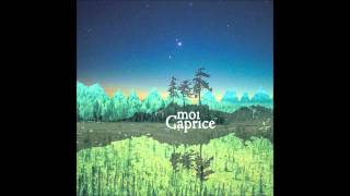 Moi Caprice - Airholes Make Echoes