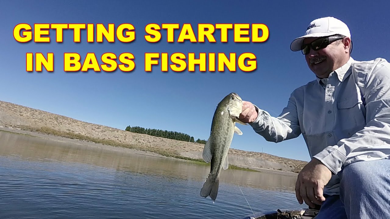 Beginner's Guide to Bass Fishing: Essential Gear and Techniques