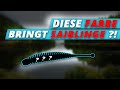 Mit ERWIN MEIRIS auf SAIBLINGSJAGD | Diese Farbe bringt fette SAIBLINGE! | Angelpark-Steinfeld