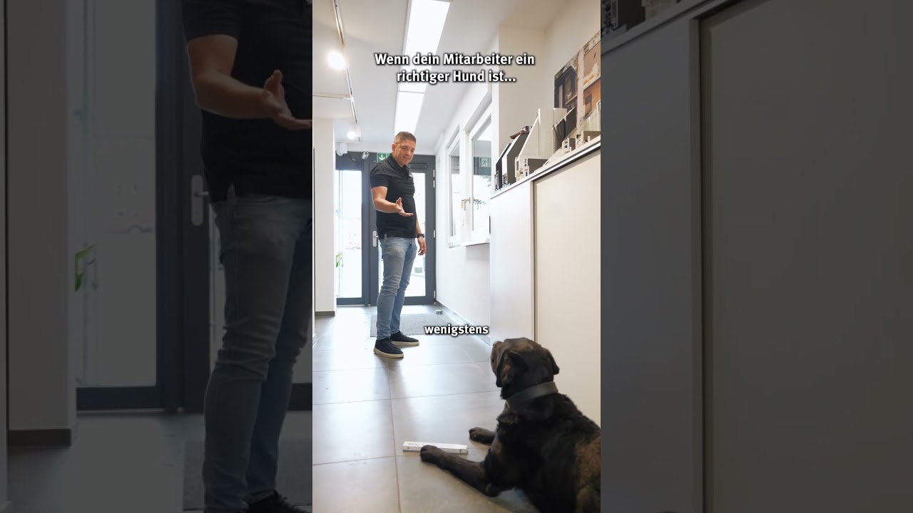 Also Toni ist echt ein Hund...
Kann man so nicht anders sagen 😅🐶 Wenn ihr mehr von Toni sehen woll