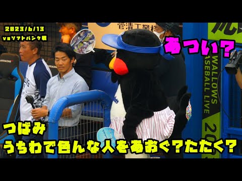 つばみ　うちわで色んな人をあおいであげる？叩いちゃう？　2023/6/13 vsソフトバンク