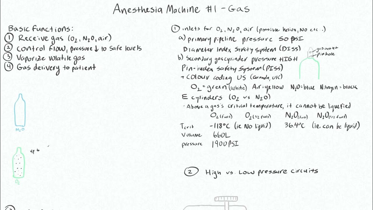 Anesthesia Machine Basic Functions 1 Primary pipelines and gas